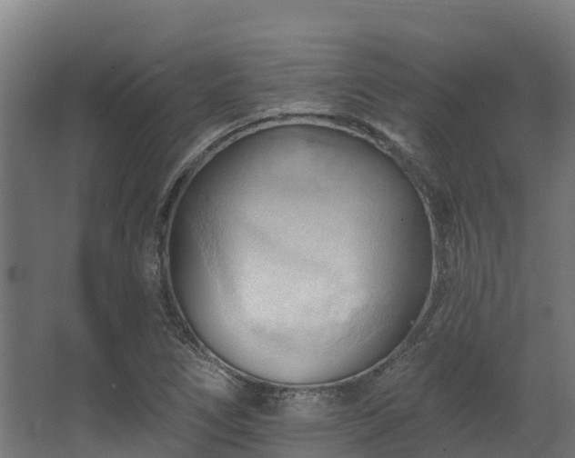 X0000068741266200605011016