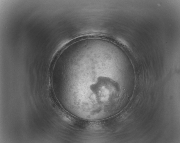 X0000068741267200605011016