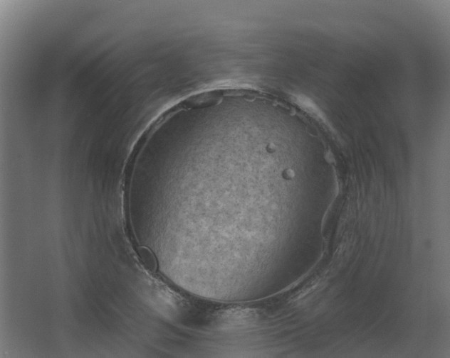 X0000068741268200605011016