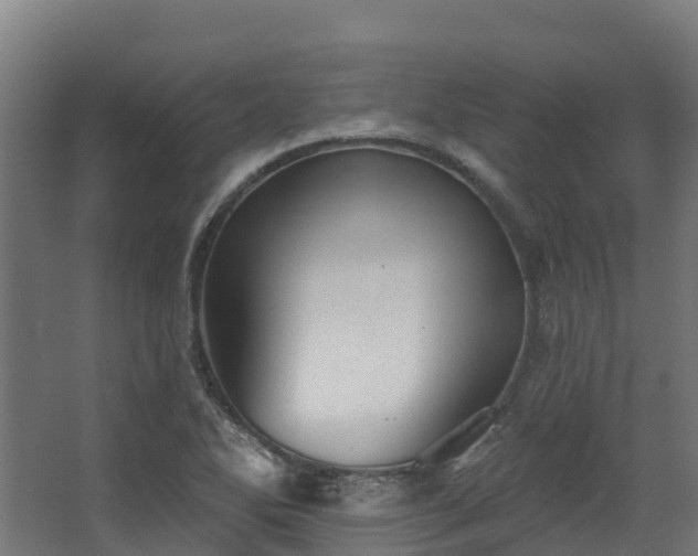 X0000068741270200605011016