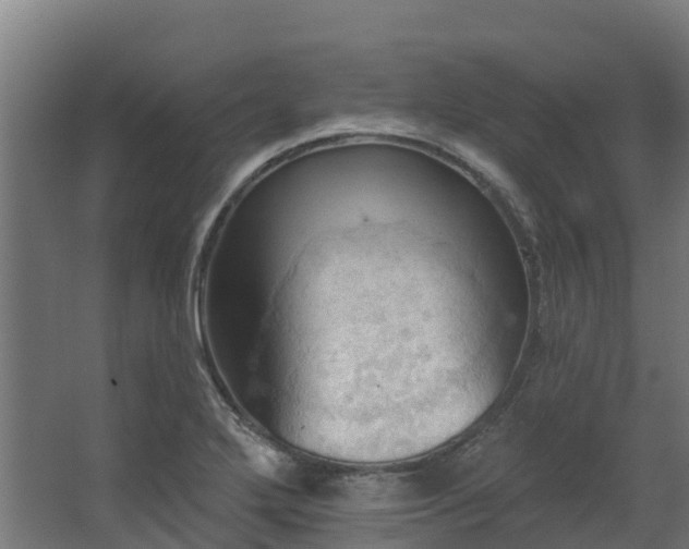 X0000068741272200605011016