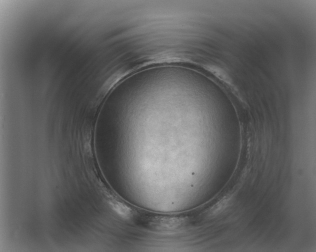 X0000068741273200605011016