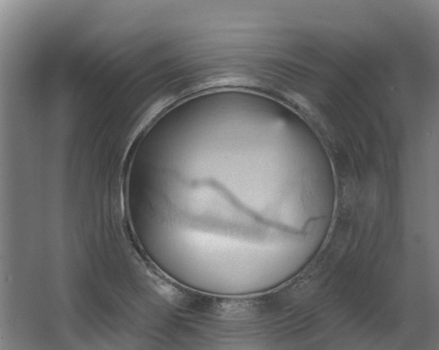 X0000068741274200605011016