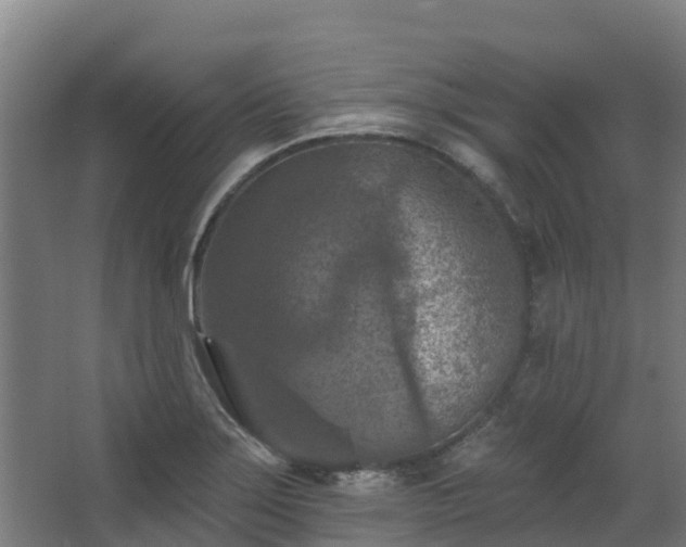 X0000068741275200605011016