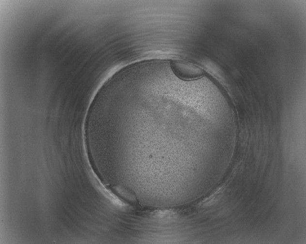 X0000068741283200605011016