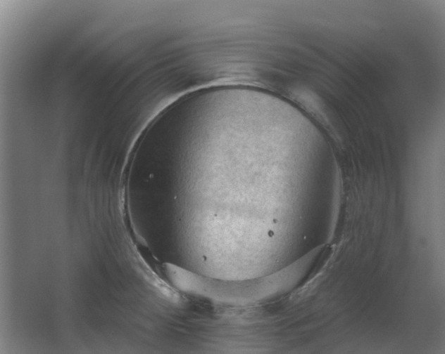 X0000068741284200605011016