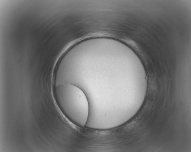 X0000068741286200605011015