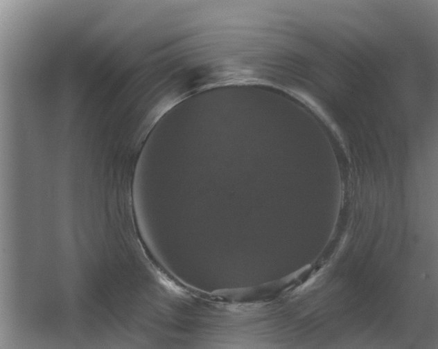 X0000068741289200605011015