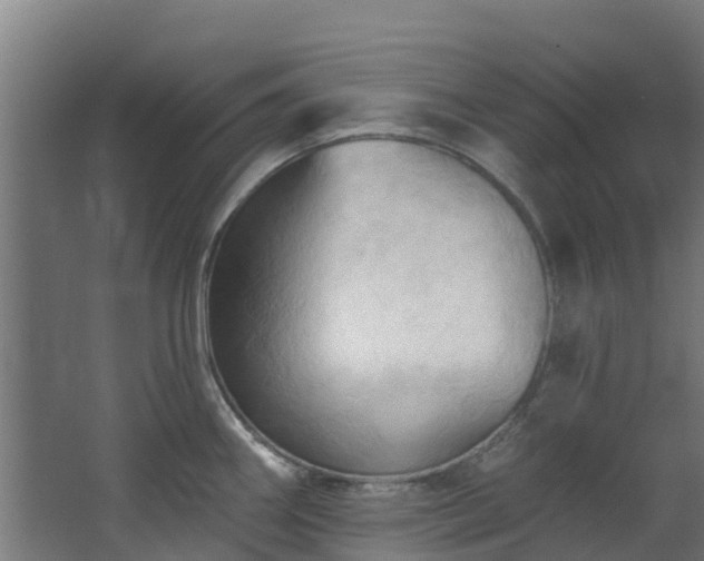 X0000068741290200605011015