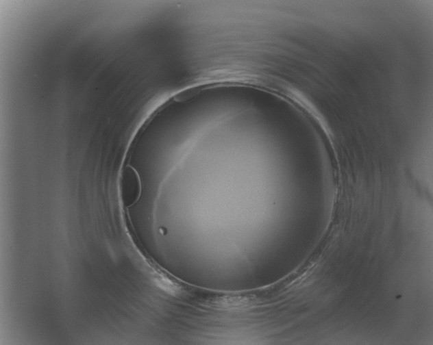 X0000068741291200605011015