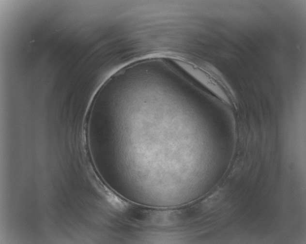 X0000068741292200605011015