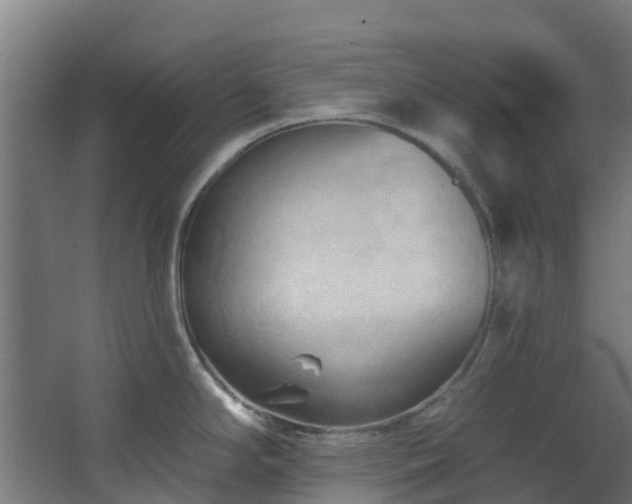 X0000068741294200605011015