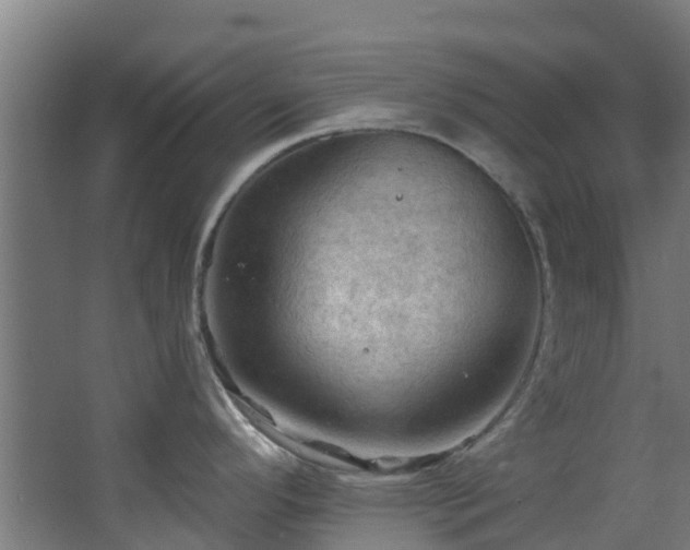 X0000068741296200605011015