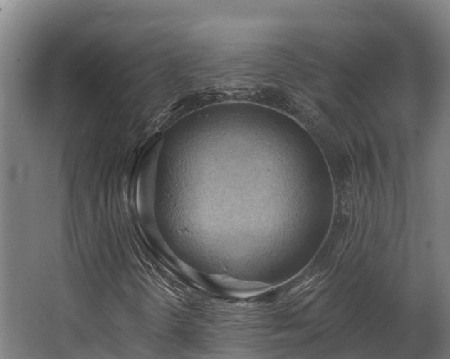 X0000068741298200605011015