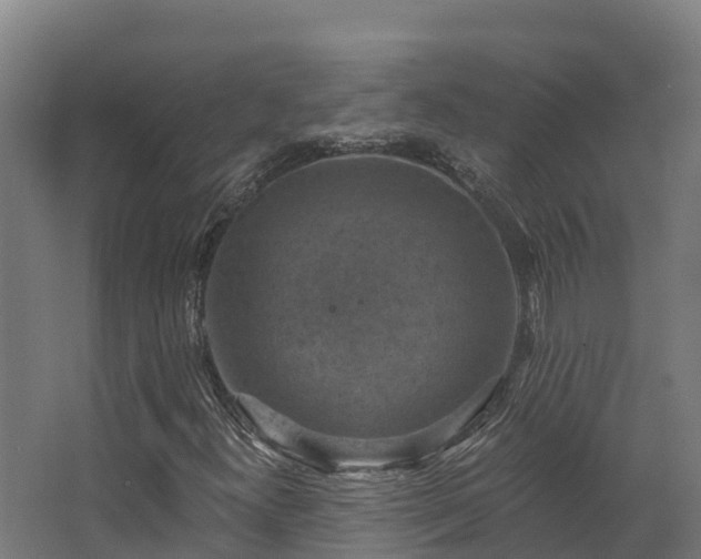 X0000068741300200605011015