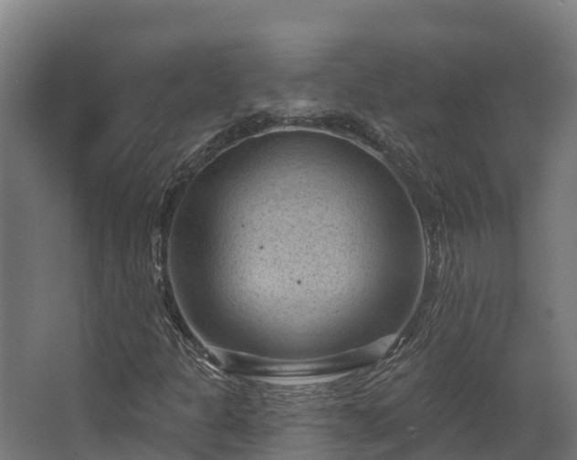 X0000068741301200605011015