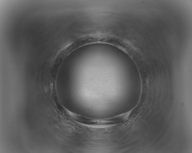 X0000068741302200605011015