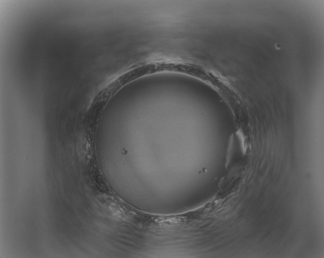 X0000068741303200605011015