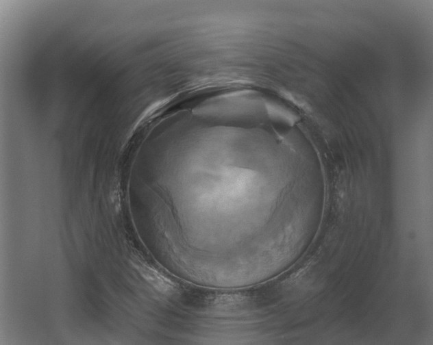 X0000068741306200605011015