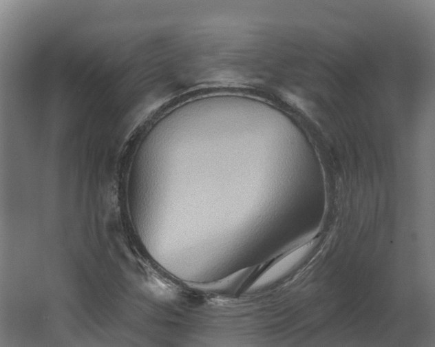 X0000068741307200605011015