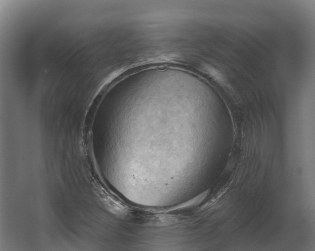 X0000068741308200605011015