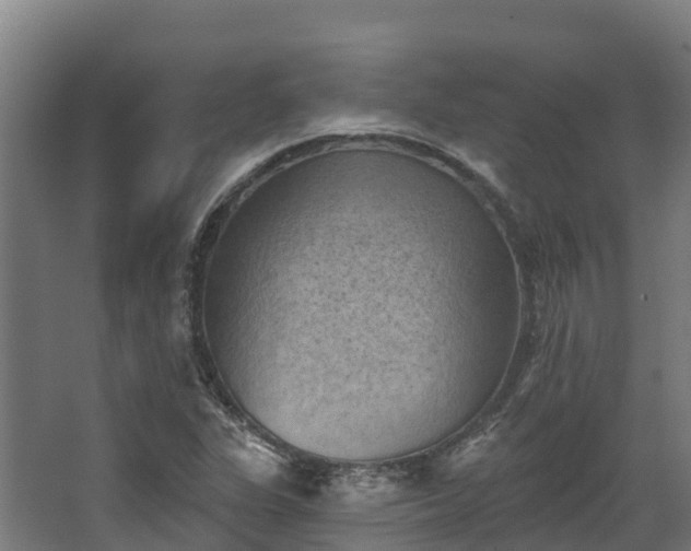 X0000068741311200605011015