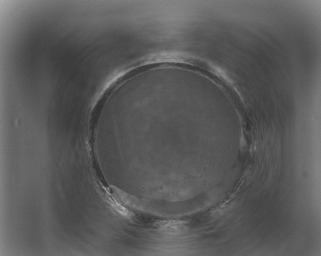 X0000068741312200605011015