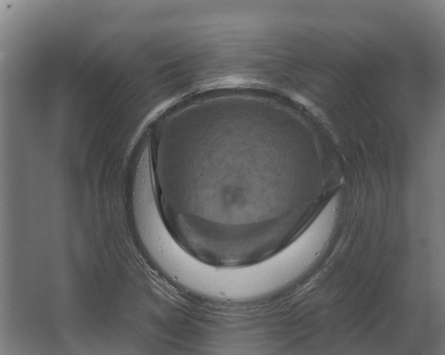 X0000068741314200605011015