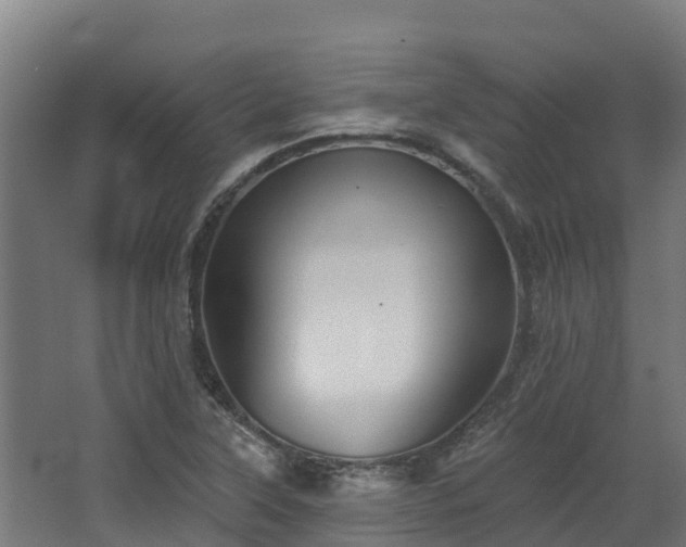 X0000068741315200605011015