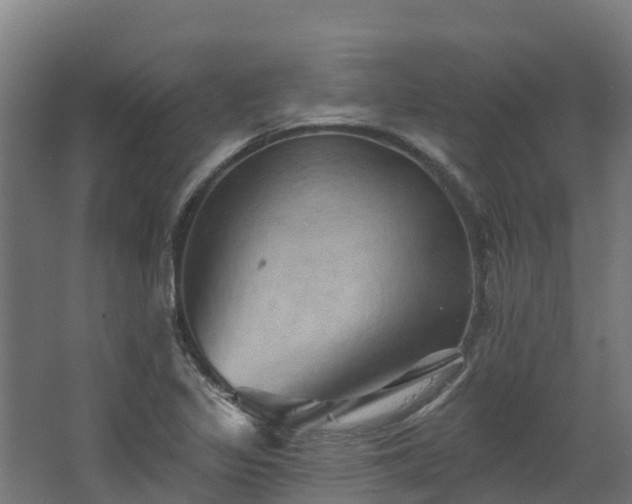 X0000068741317200605011015