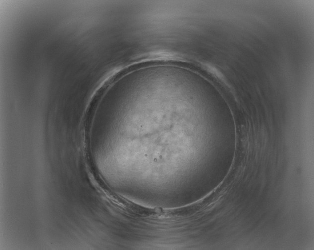 X0000068741318200605011015