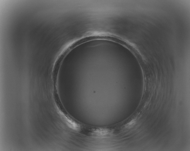 X0000068741319200605011015