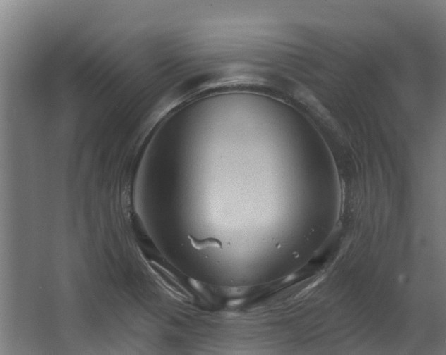 X0000068741321200605011015