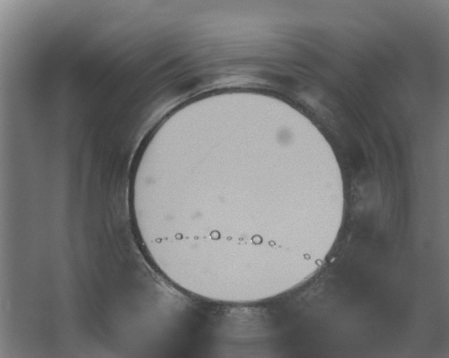 X0000068741322200605011015