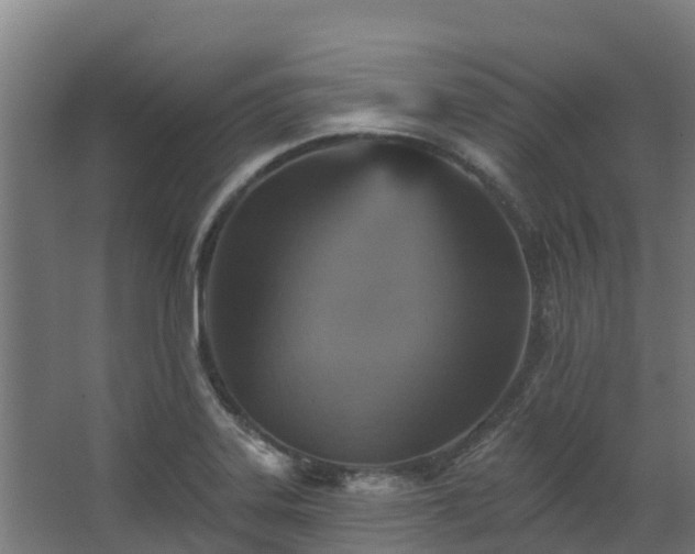 X0000068741323200605011015