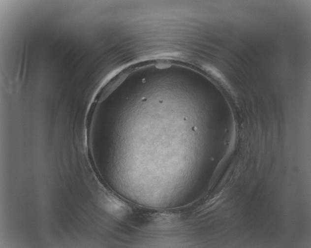 X0000068741324200605011015