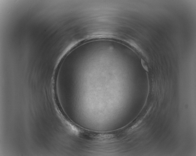 X0000068741325200605011015