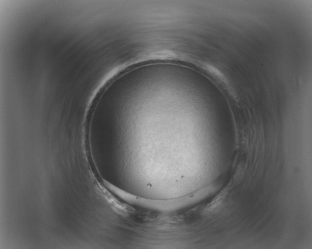 X0000068741326200605011015