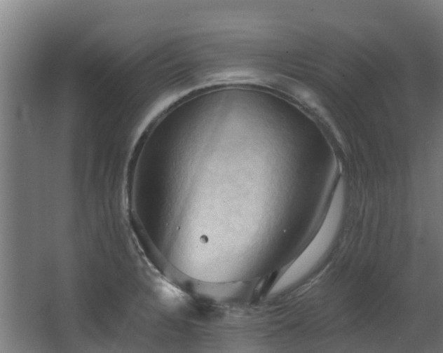 X0000068741328200605011015