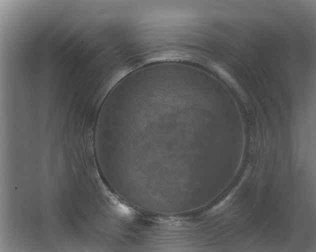 X0000068741329200605011015