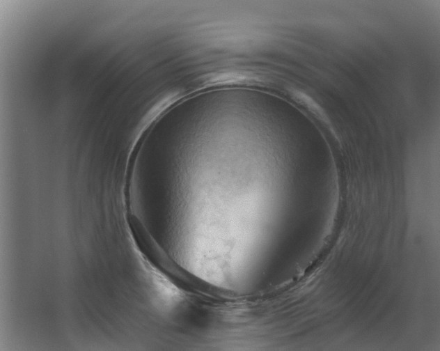 X0000068741330200605011015