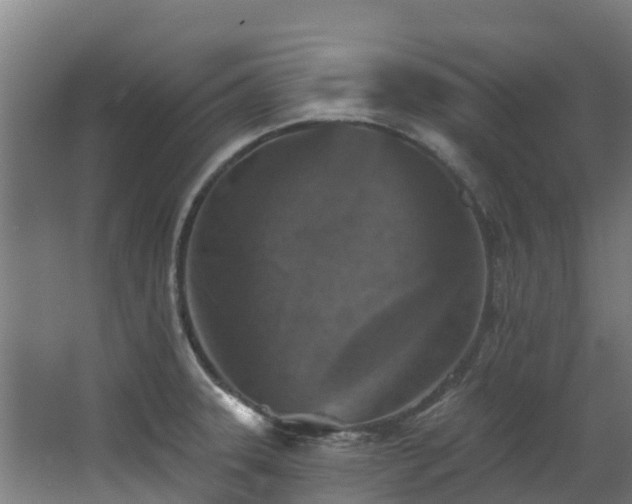 X0000068741331200605011015