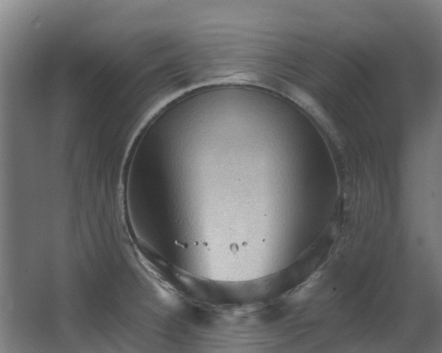 X0000068741332200605011015