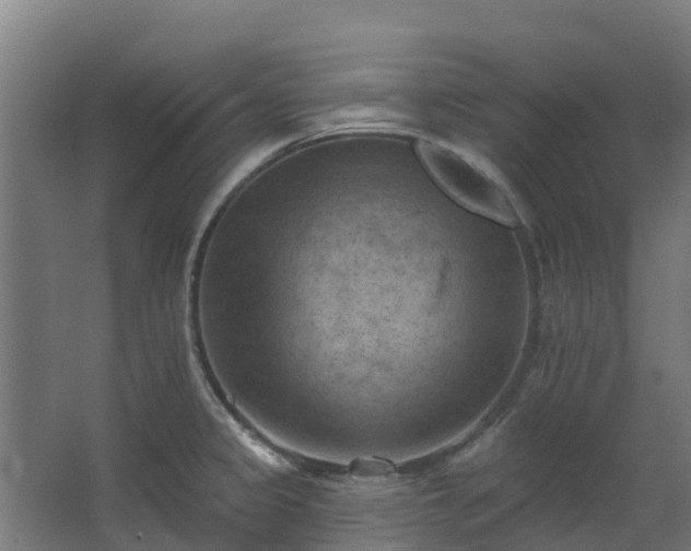 X0000068741333200605011015