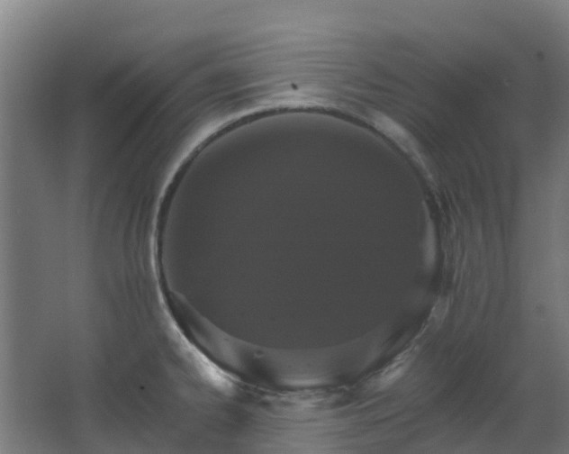 X0000068741334200605011015