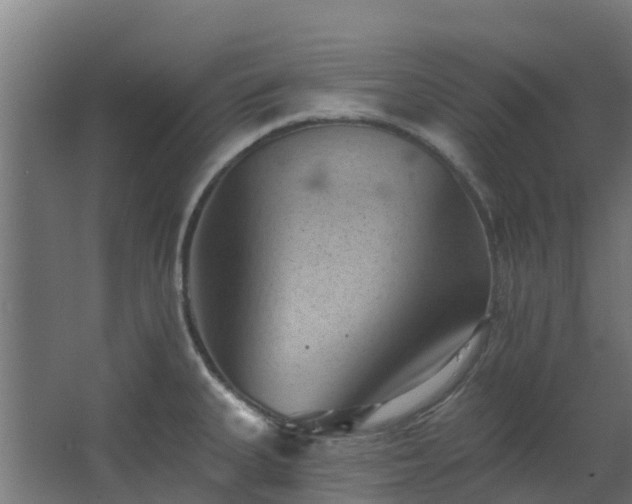 X0000068741335200605011015