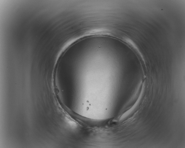 X0000068741336200605011015