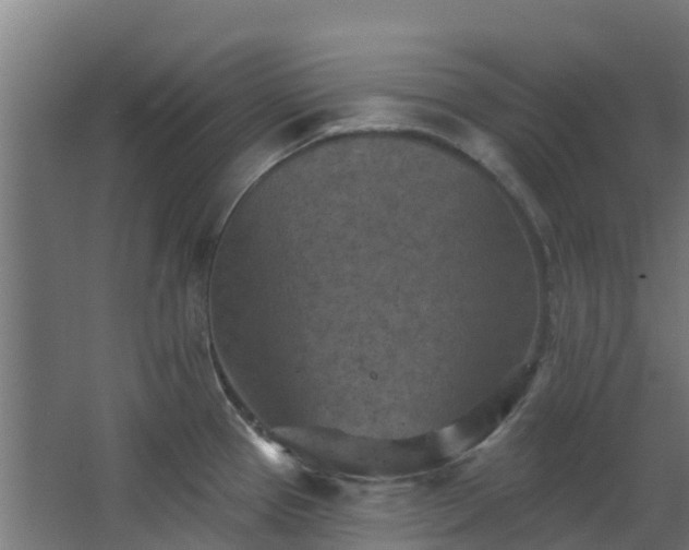 X0000068741337200605011015