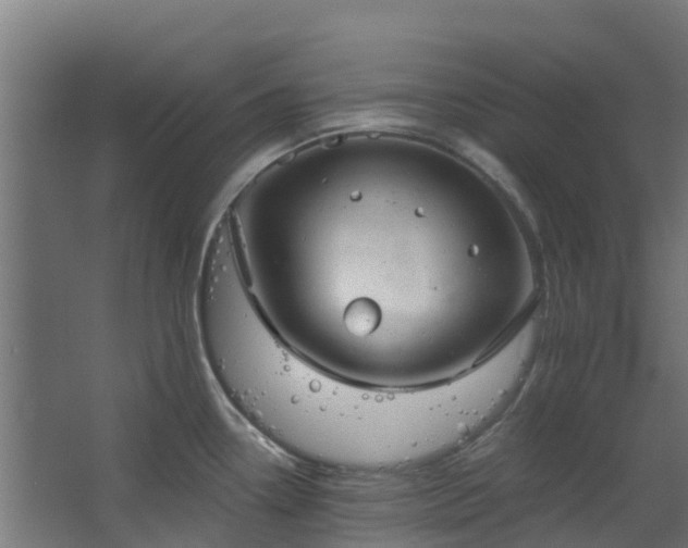 X0000068741338200605011015