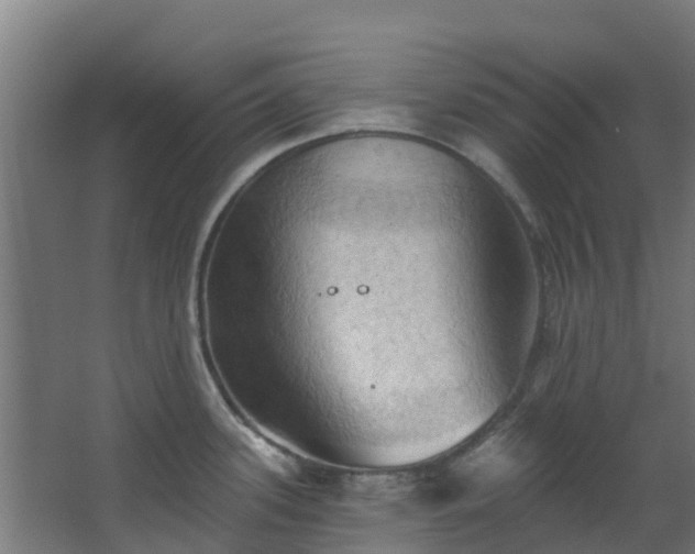 X0000068741339200605011015